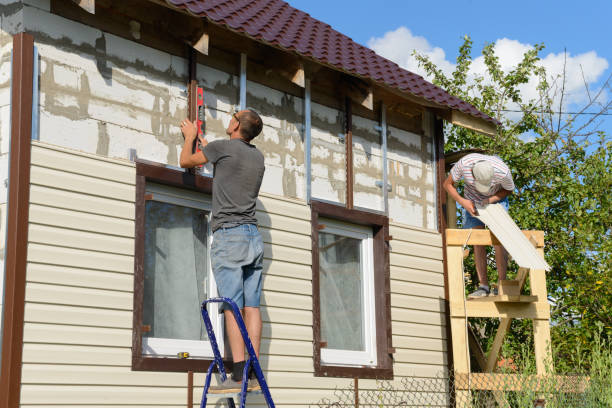 Best Custom Siding Design  in Maysville, OK